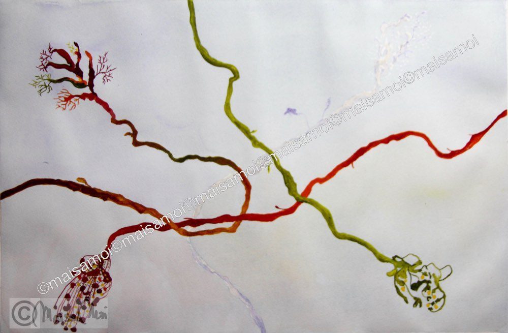 Vuodenkierto The_Cycle_of_the_Year